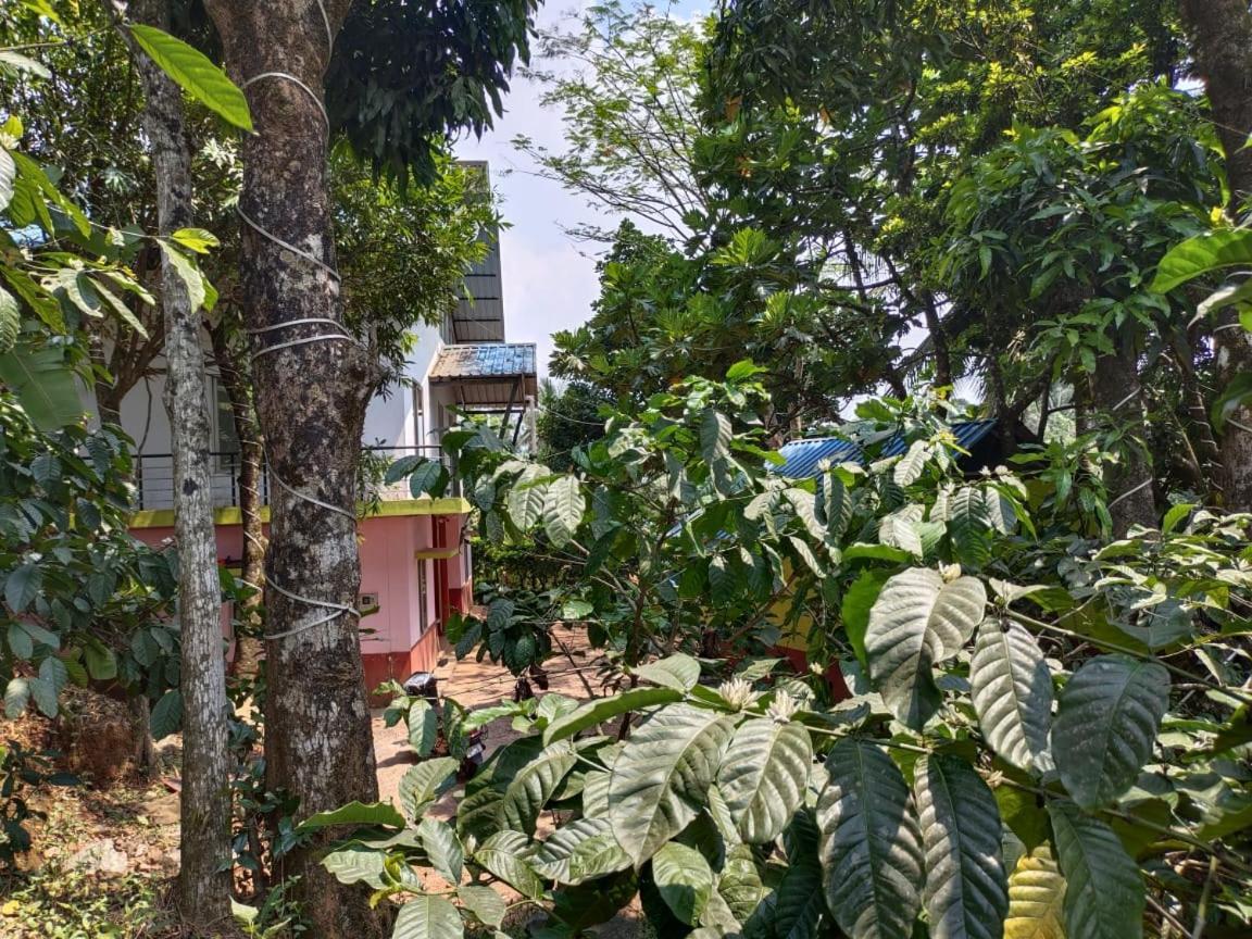 Green Land Estate Homestay 5 Rooms With Garden View Мадикери Экстерьер фото